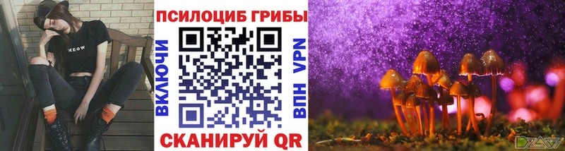 кракен сайт Южно-Сухокумск Галлюциногенные грибы мицелий